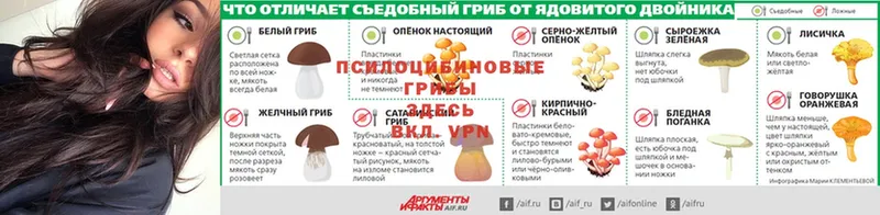 Галлюциногенные грибы GOLDEN TEACHER  Всеволожск 